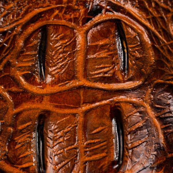 Honey Caiman Neck – Square Toe - Image 4
