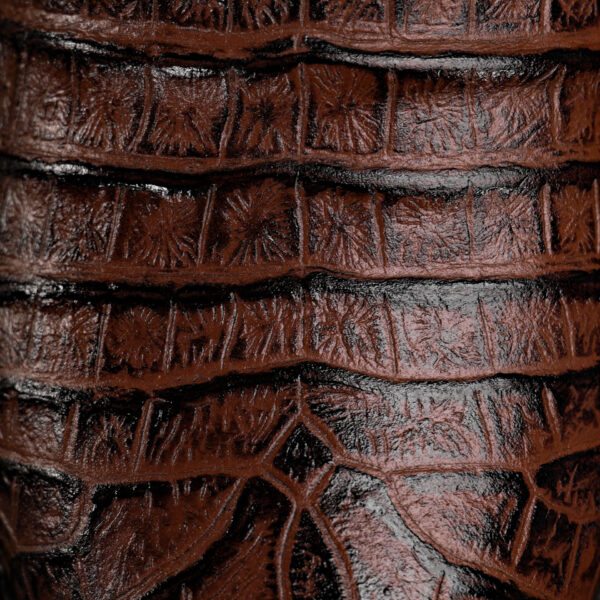 Brown Caiman Belly- Round Toe - Image 4