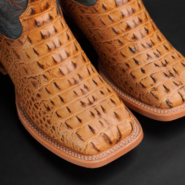 Tan Caiman Horn Back – Square Toe - Image 3