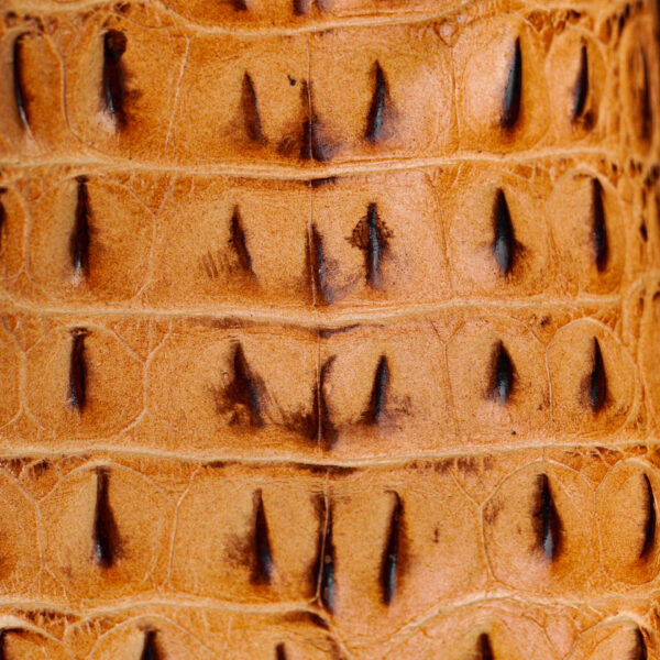 Tan Caiman Horn Back – Square Toe - Image 4