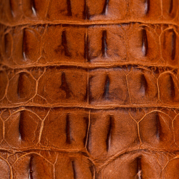 Taupe Caiman Horn Back – Square Toe - Image 4