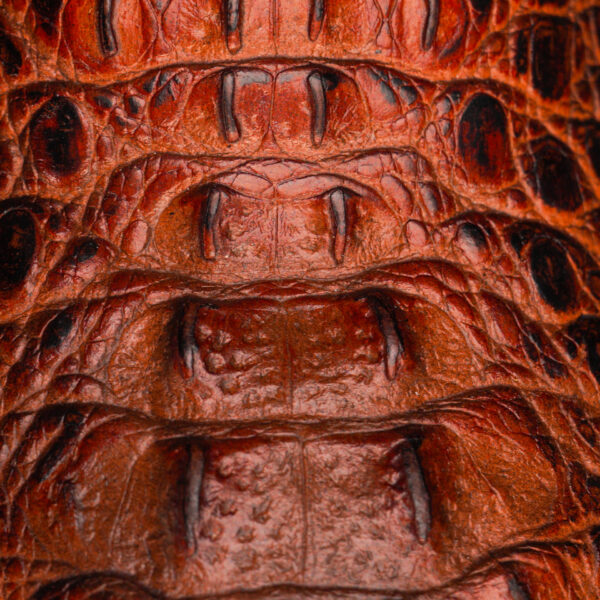 Cognac Caiman Neck - Square Toe - Image 4