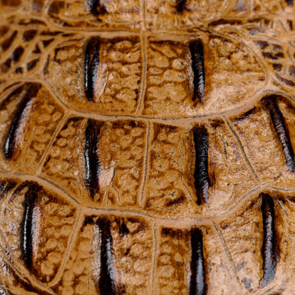 Orix Caiman Neck – Square Toe - Image 3