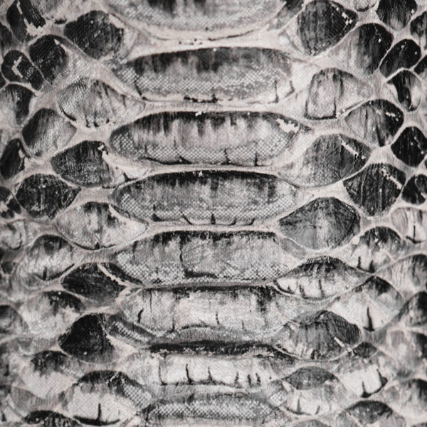 Natural Python – Square Toe - Image 2