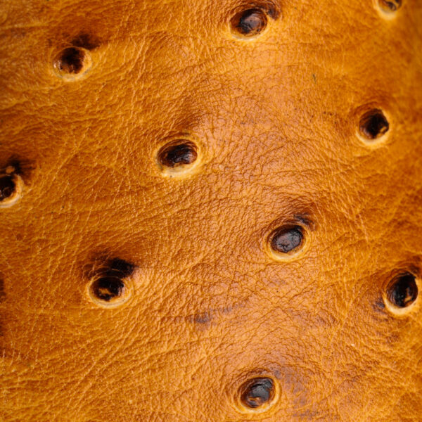 Honey Ostrich – Square Toe - Image 4