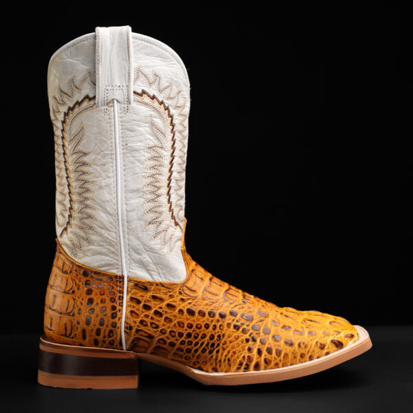 Honey Caiman Neck – Square Toe - Image 2