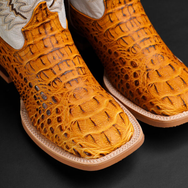 Honey Caiman Neck – Square Toe - Image 3