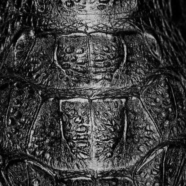 Black Caiman Neck - Square Toe - Image 4