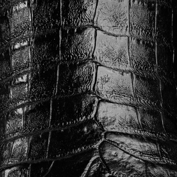 Black Caiman Belly - Square Toe - Image 4