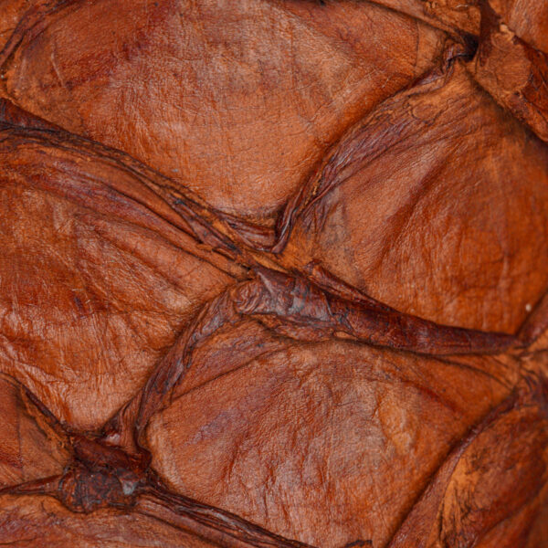 AUTHENTIC Cognac Pirarucu – Square Toe - Image 4