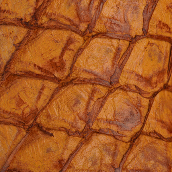 AUTHENTIC Honey Pirarucu – Square Toe - Image 3