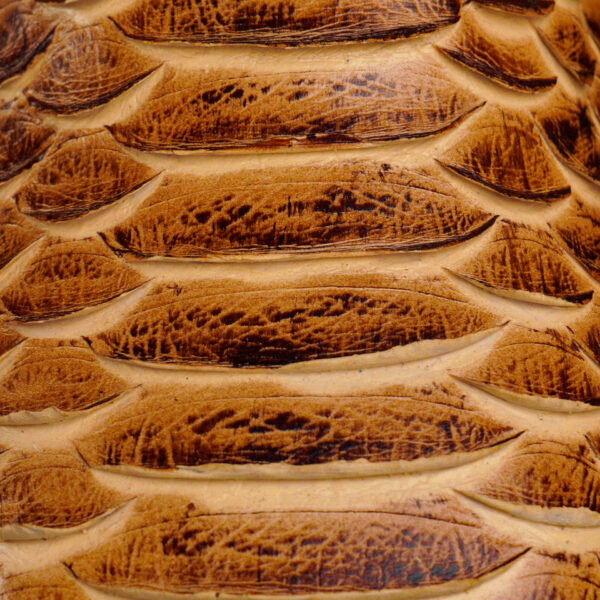 Tan Python – Square Toe - Image 4