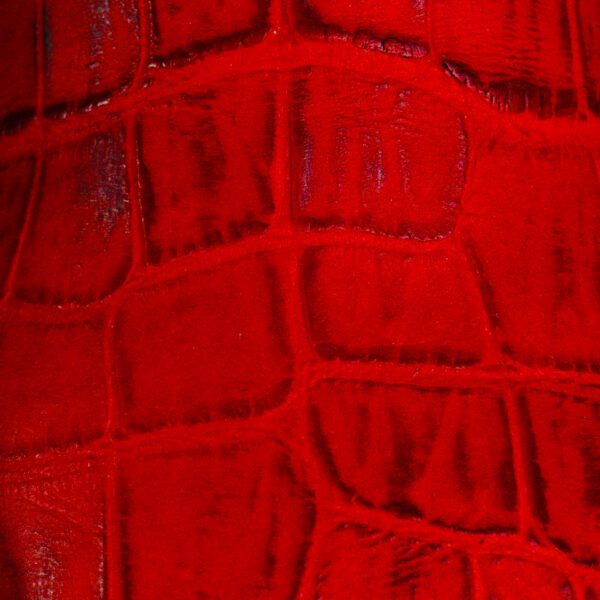 Red Alligator Belly - Square Toe - Image 4