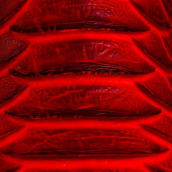 Red Giant Python – Square Toe - Image 4