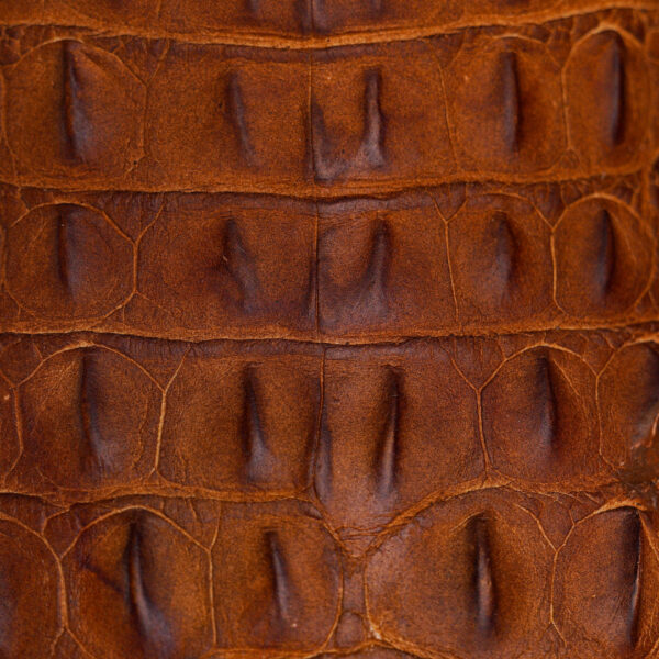 Matte Taupe Caiman Horn Back – Square Toe - Image 4