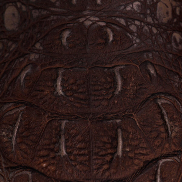 Matte Brown Caiman Neck - Square Toe - Image 4