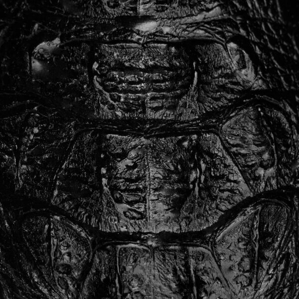 Black Caiman Neck - Square Toe - Image 4