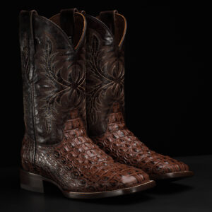 Brown Caiman Horn Back - Square Toe
