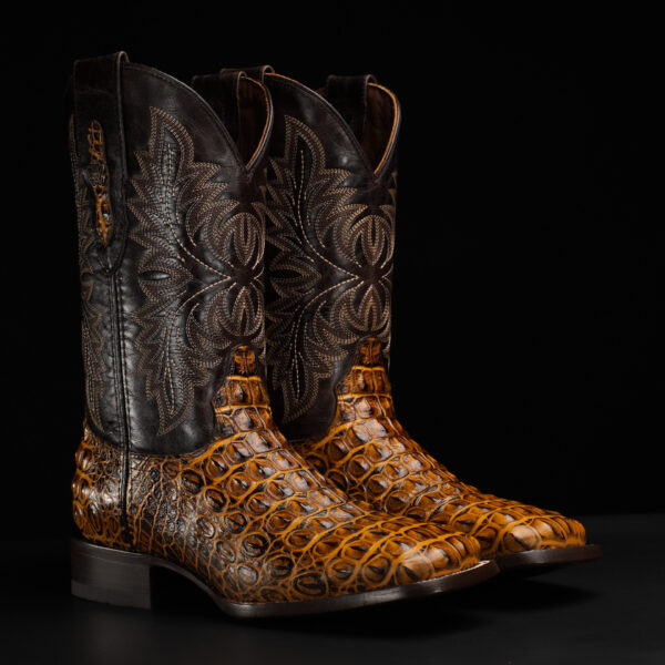 Honey Caiman Horn Back – Square Toe