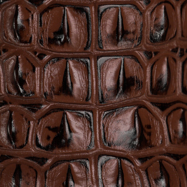 Brown Caiman Horn Back - Square Toe - Image 4