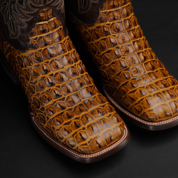 Honey Caiman Horn Back – Square Toe - Image 3