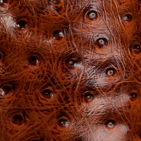 Cognac Ostrich – Square Toe - Image 4