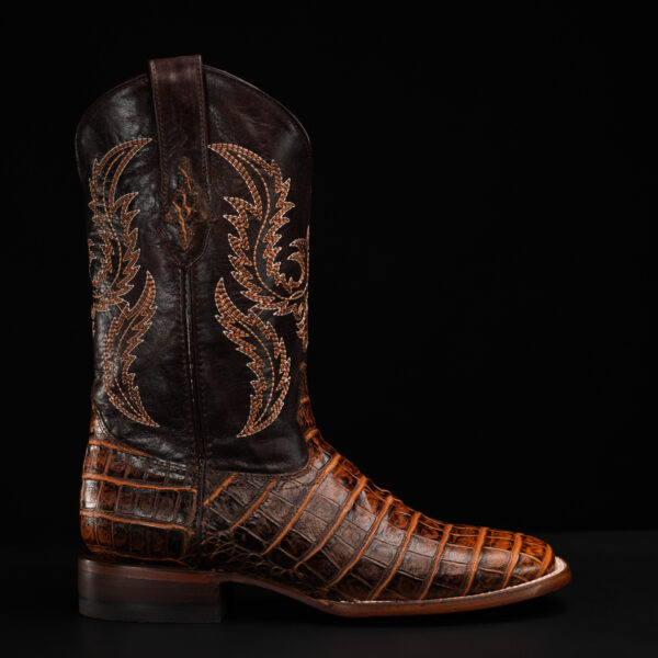 Honey Alligator Belly – Square Toe - Image 2