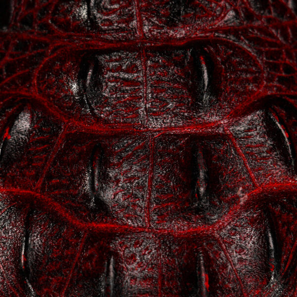 Cherry Caiman Neck – Square Toe - Image 4
