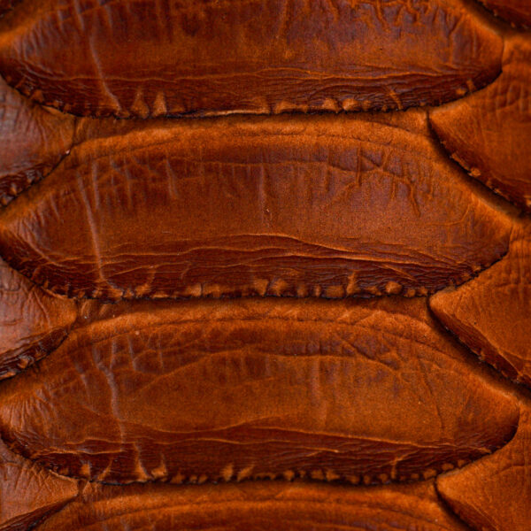 Taupe Giant Python - Square Toe - Image 4