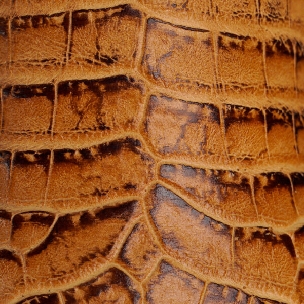 Tan Caiman Belly – Square Toe - Image 4