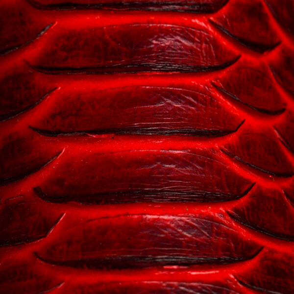 Red Python – Square Toe - Image 4