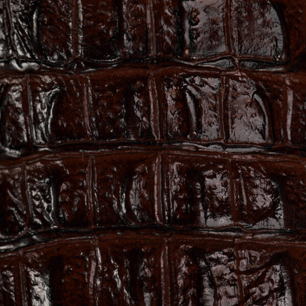 Brown Caiman Horn Back - Square Toe - Image 4