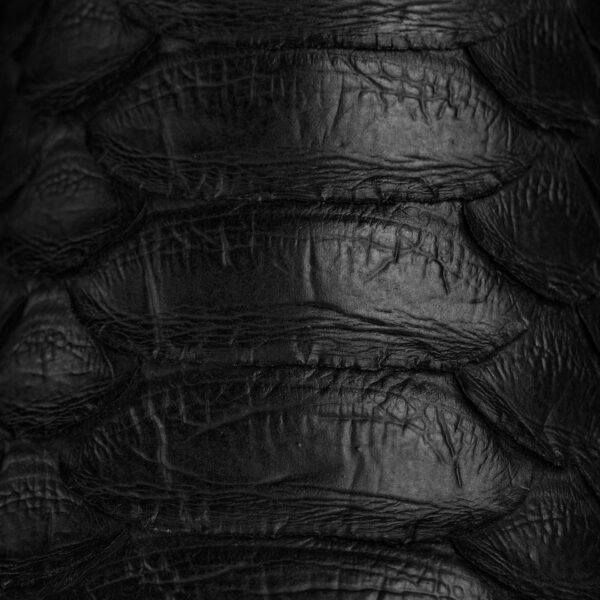 Giant Black Python - Square Toe - Image 4