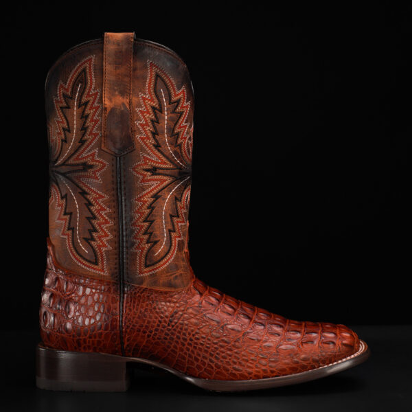 Cognac Caiman Horn Back - Square Toe - Image 2