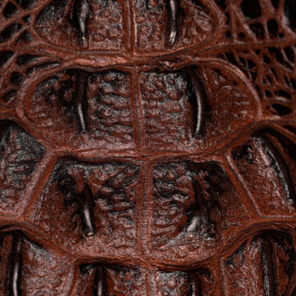 Brown Caiman Neck – Square Toe - Image 3