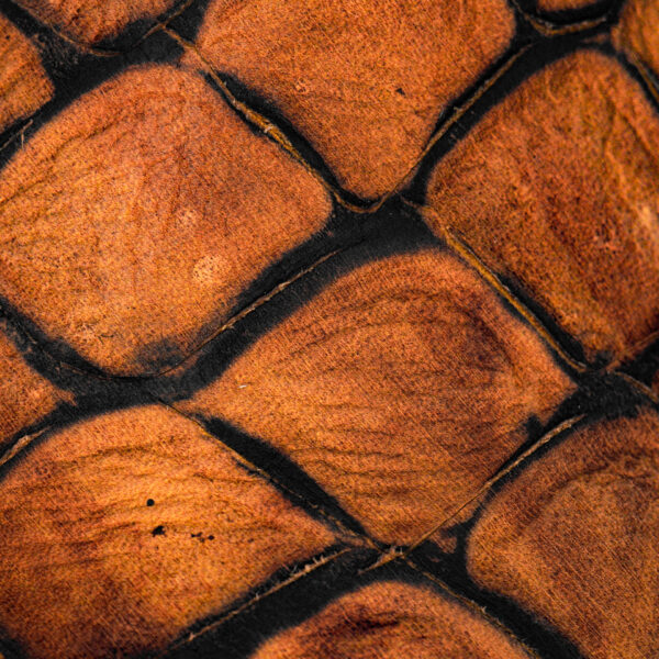 Matte Honey Fish Scale – Square Toe - Image 4