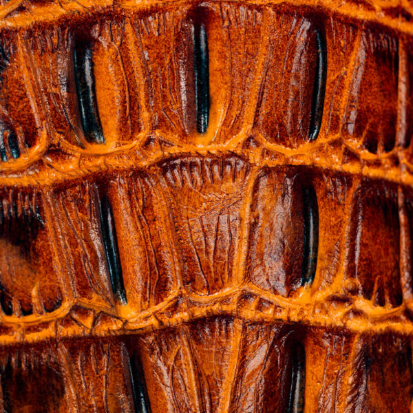 Honey Caiman Tail – Square Toe - Image 4