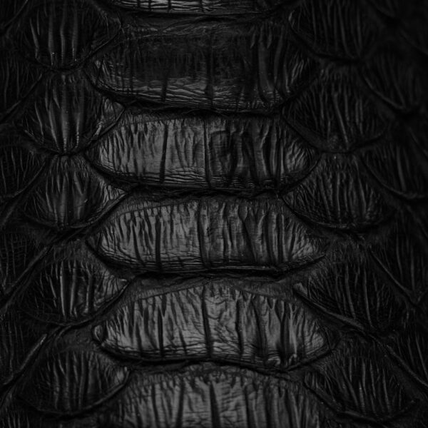 AUTHENTIC Black Python – Square Toe - Image 4