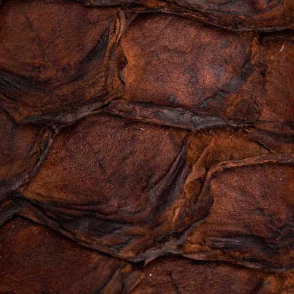 AUTHENTIC Chocolate Brown Pirarucu – Square Toe - Image 4