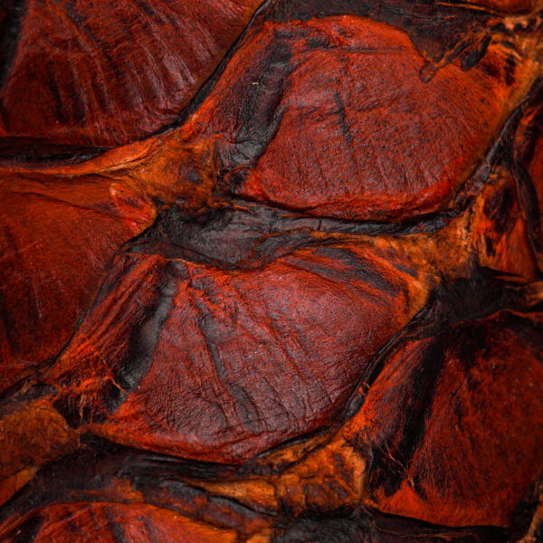 AUTHENTIC Cognac Pirarucu – Square Toe - Image 4