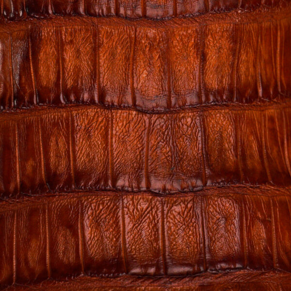AUTHENTIC Cognac Caiman Belly – Square Toe - Image 4