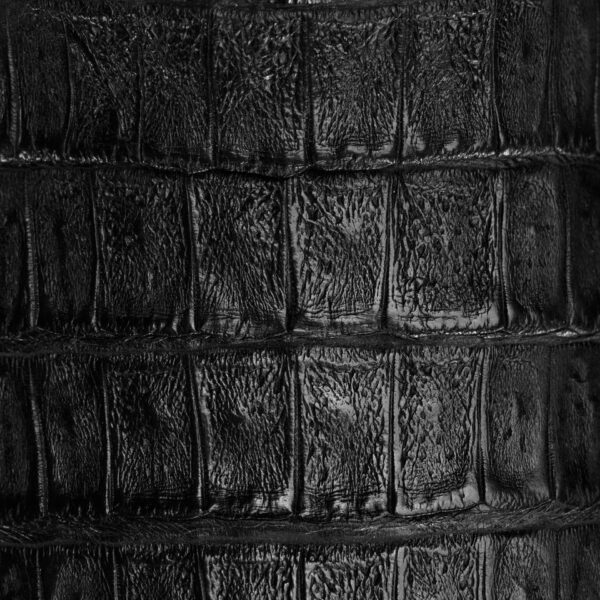 AUTHENTIC Black Caiman Belly – Square Toe - Image 4