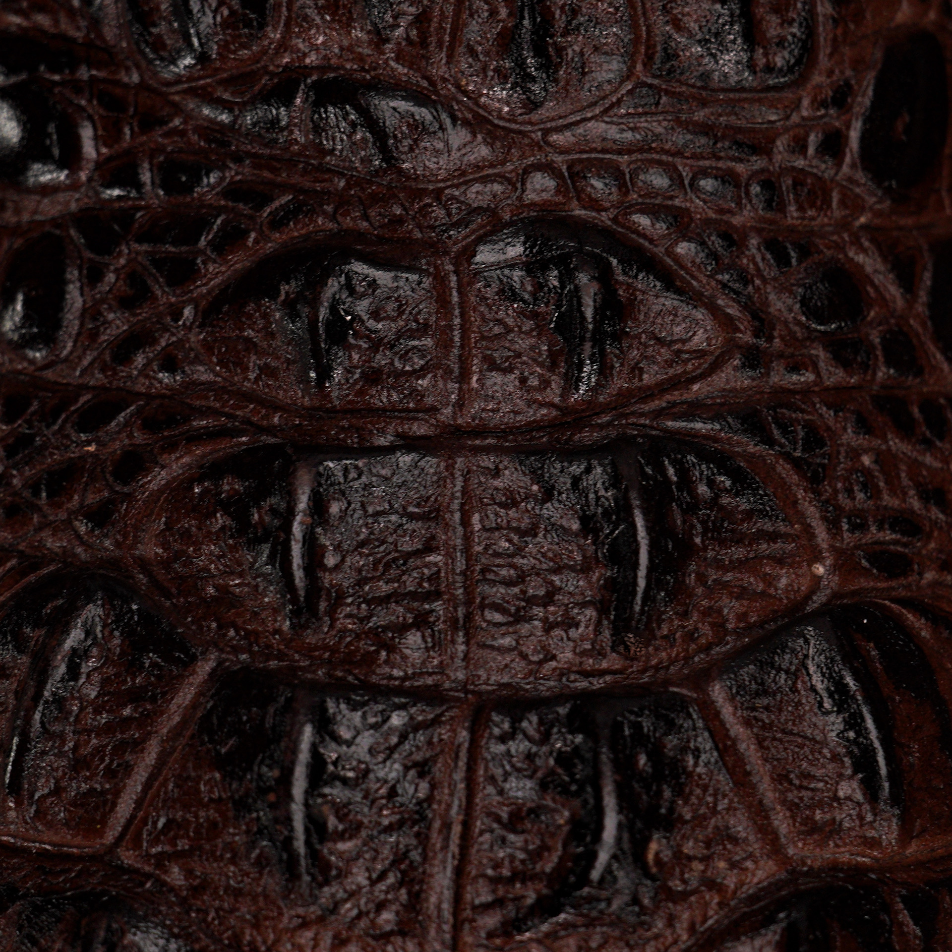 Brown Caiman Neck - Square Toe - Image 3