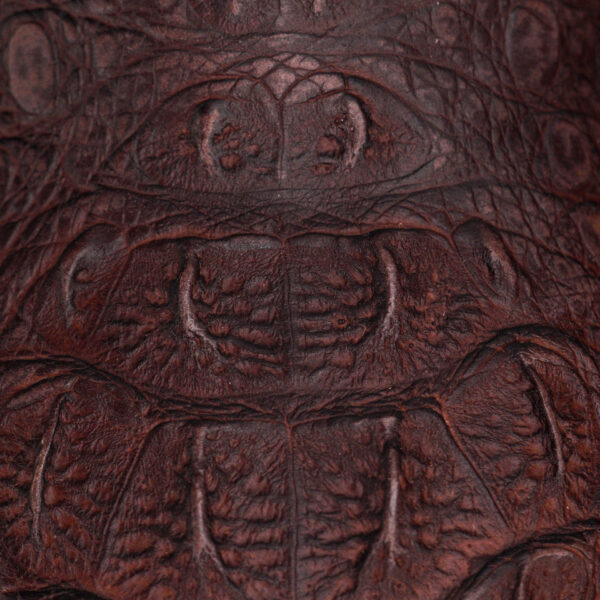 Matte Brown Caiman Neck - Square Toe - Image 4