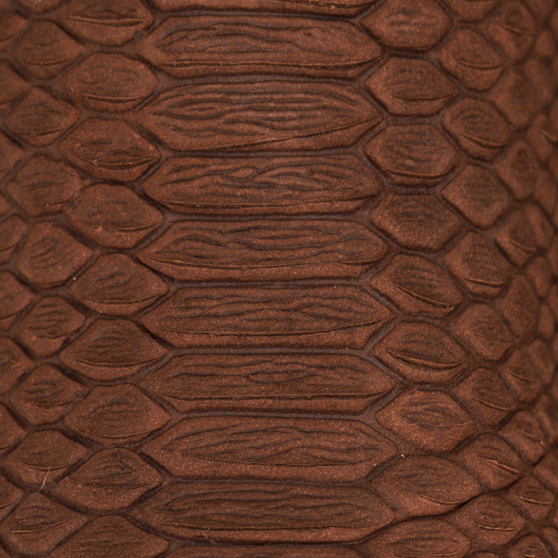 Matte Brown Python – Square Toe - Image 3