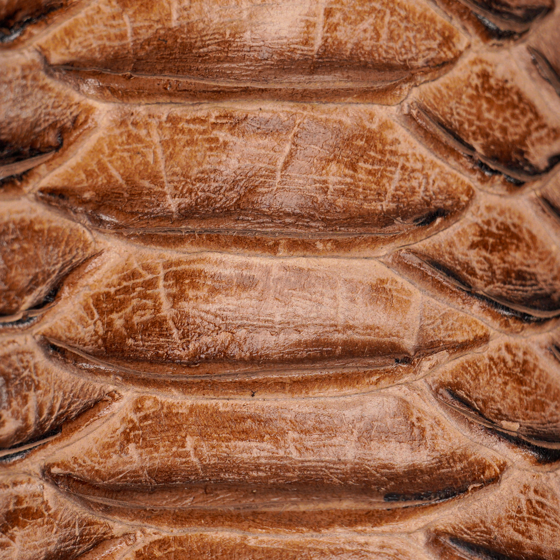 Orix Giant Python – Square Toe - Image 2