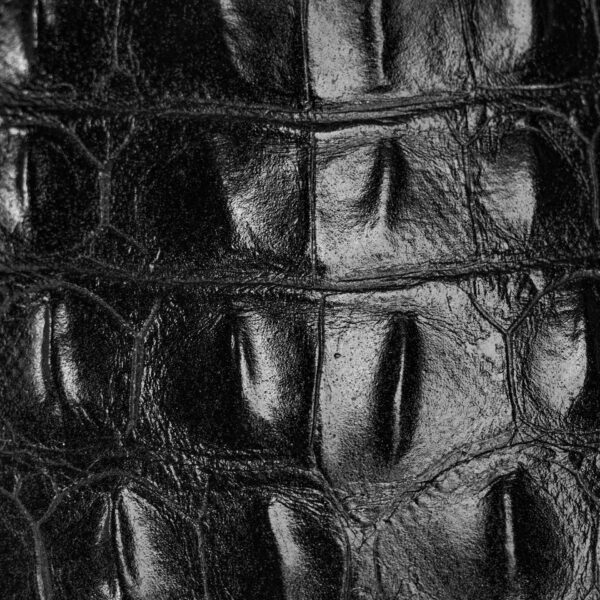 Black Caiman Horn Back - Square Toe - Image 4