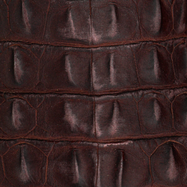 Matte Brown Caiman Horn Back - Square Toe - Image 4