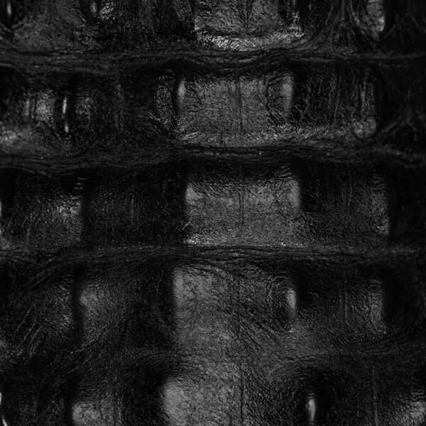 Black Caiman Horn Back - Square Toe - Image 4