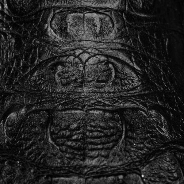 Black Caiman Neck - Square Toe - Image 4